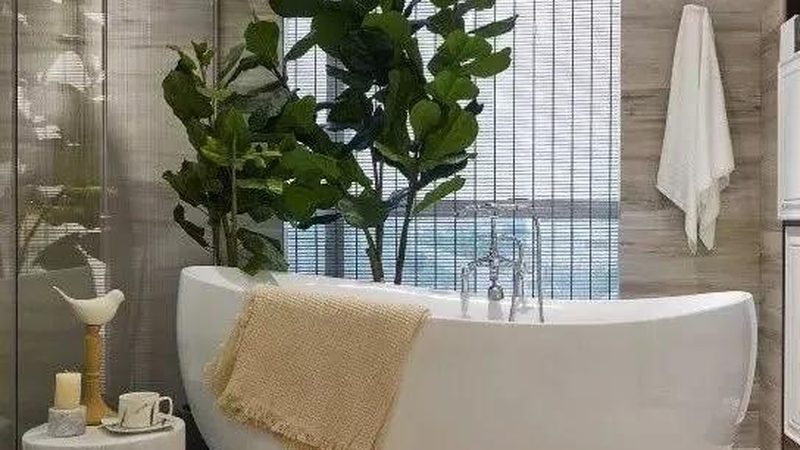 卫浴洁具材质选购：如何避开误区，选择合适的产品**
